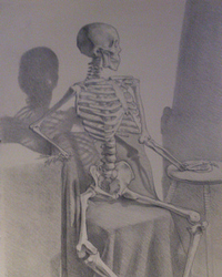 Graphite sur papier Ingres Clairefontaine. 50 x 33 cm.