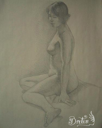 Graphite sur papier Ingres.