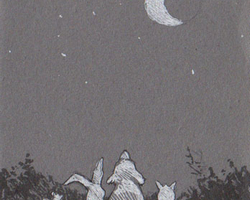 Plume, encre et stylo gel blanc. 15 x 10 cm.