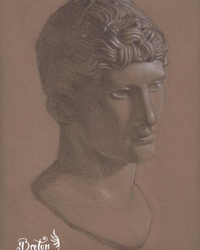 Graphite. 14 x 10 po.