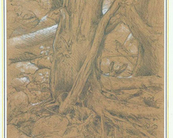 Graphite et craie blanche, papier Hahnemühle.
